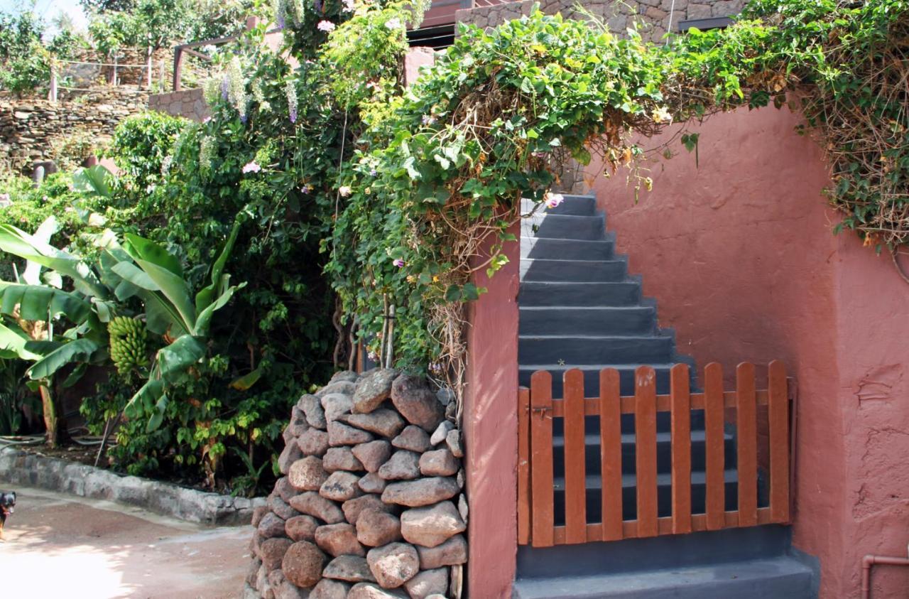 Tonono'S Village Santa Maria de Guia de Gran Canaria Eksteriør bilde