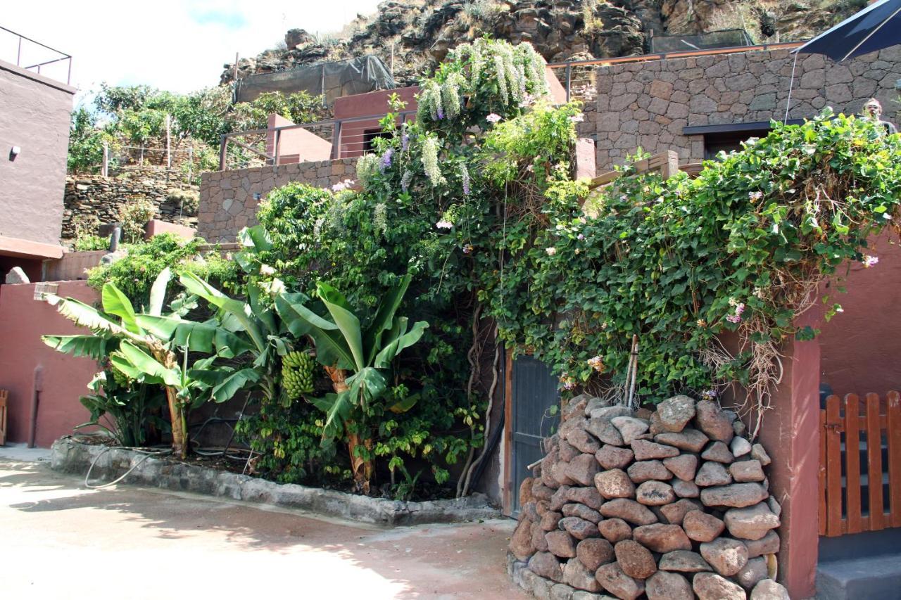 Tonono'S Village Santa Maria de Guia de Gran Canaria Eksteriør bilde