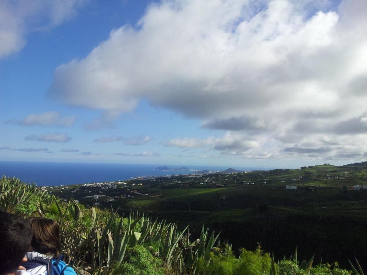 Tonono'S Village Santa Maria de Guia de Gran Canaria Eksteriør bilde