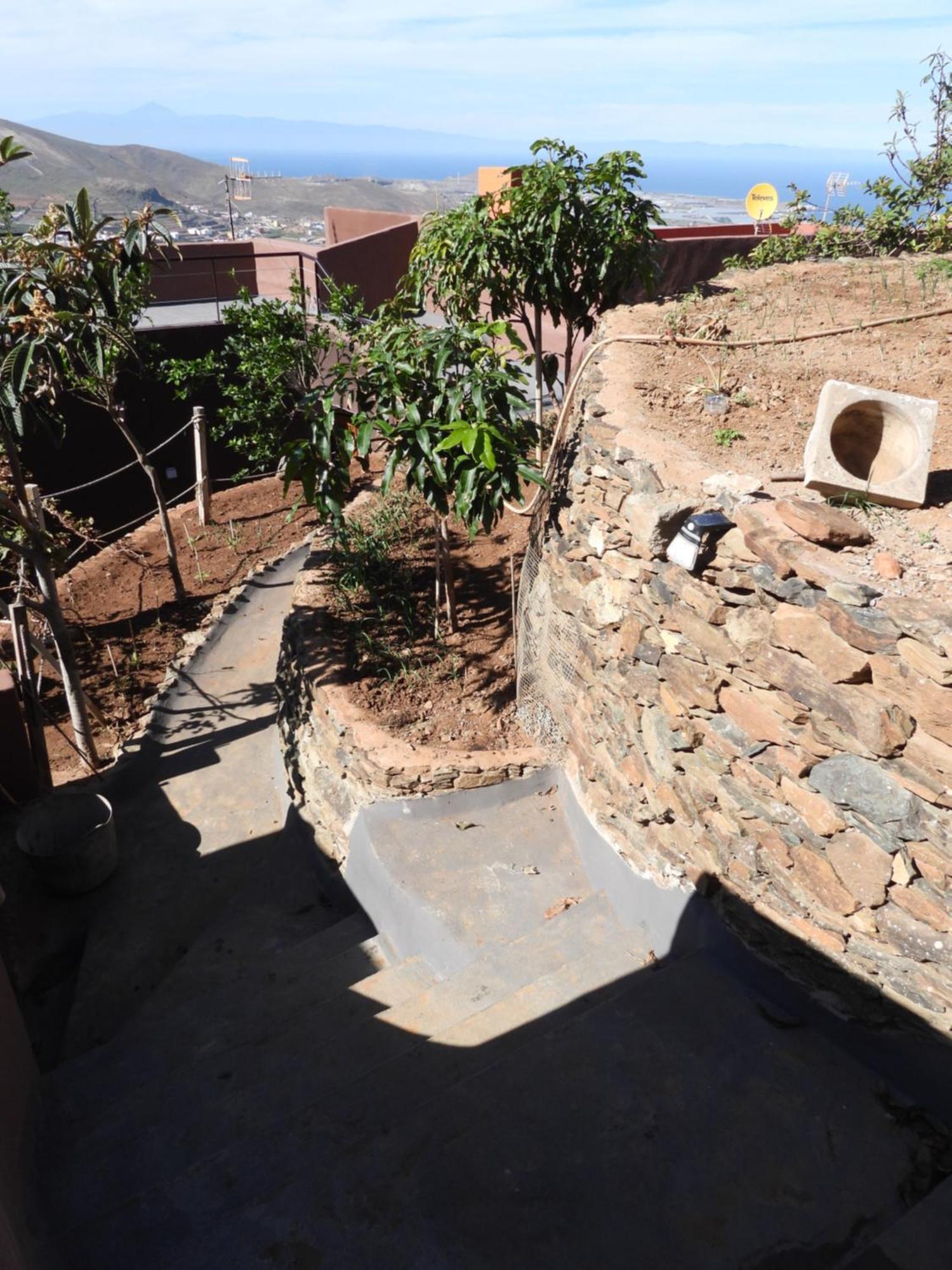 Tonono'S Village Santa Maria de Guia de Gran Canaria Eksteriør bilde